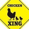 grahamschickens